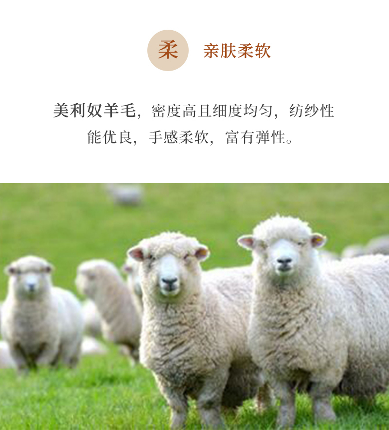 新西兰原产COMFORT SOCKS美利奴羊毛手套五指手套全指手套 枣红色 L