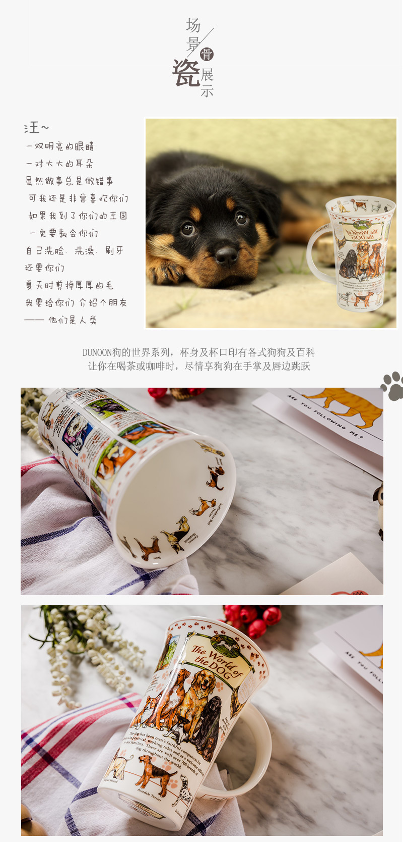 英国原产DUNOON丹侬杯子骨瓷杯水杯马克杯峡谷型狗的世界 蓝色礼盒