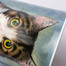 英国丹侬DUNOON骨瓷创意马克杯水杯喵星人 斑猫 蓝色礼盒