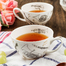 英国原产DUNOON丹侬骨瓷茶杯水杯茶具套装 混色