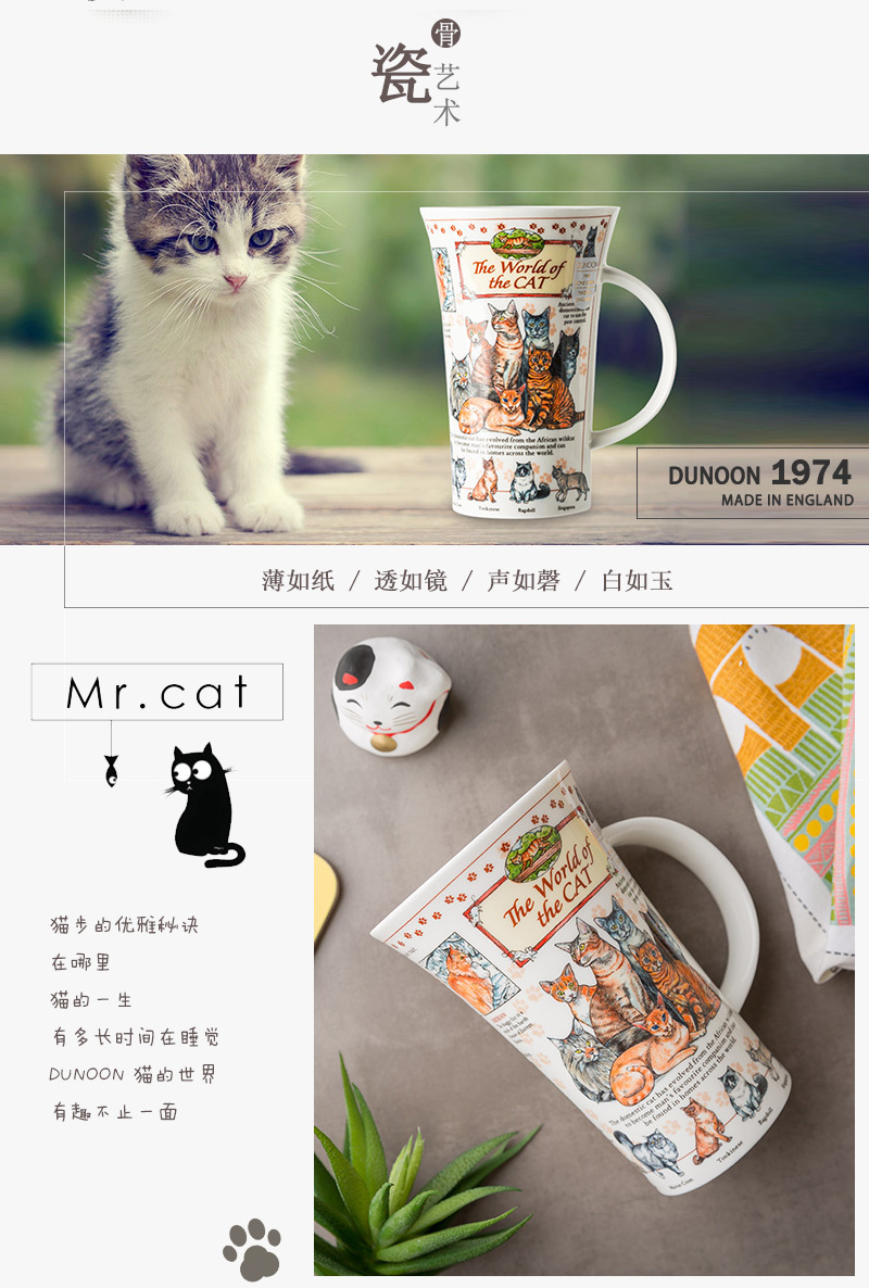 英国DUNOON丹侬峡谷型骨瓷马克杯猫的世界 蓝色礼盒