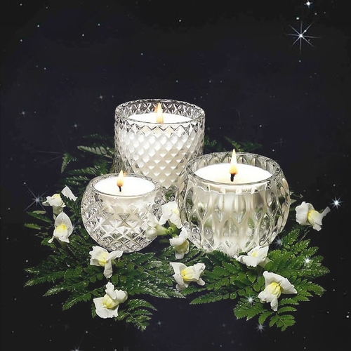 新西兰原产illumina soy candles钻石流苏封盖香薰蜡烛 竹子与白百合