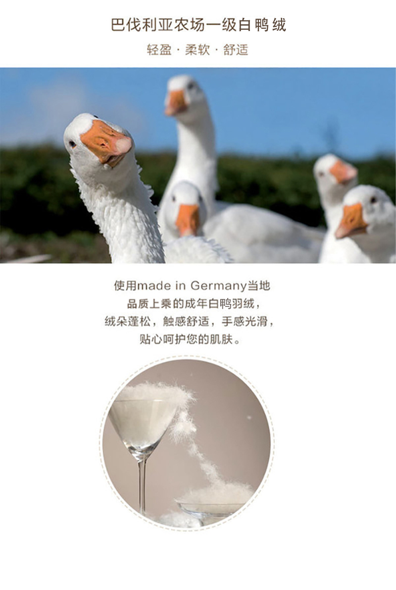 德国原产HANSKRUCHEN全棉羽绒枕鸭绒枕256TBAYERN系列 白色