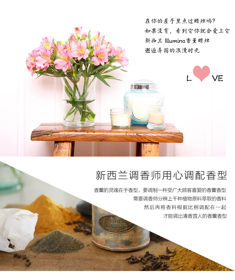新西兰原产illumina soy candles古董梅森罐香薰蜡烛 圣诞奇异果