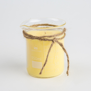 新西兰原产illumina soy candles 化学杯diy手工香薰蜡烛