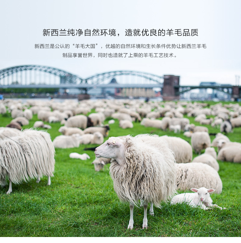 新西兰原产Classic Sheepskin羊毛儿童冬季短靴雪地靴2-3岁 棕色