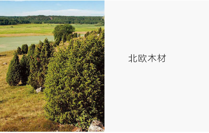 瑞典原产Skandinavisk Hemslojd创意木质明信片贺卡礼品 胡桃木色