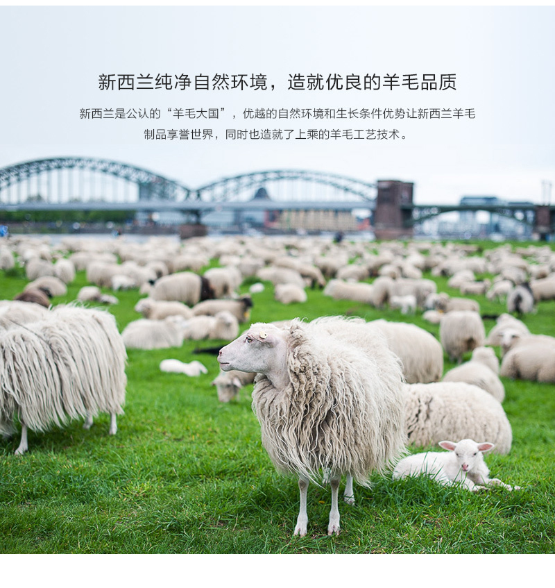 新西兰原产Classic Sheepskin羊毛儿童冬季家居鞋12-15个月 白色