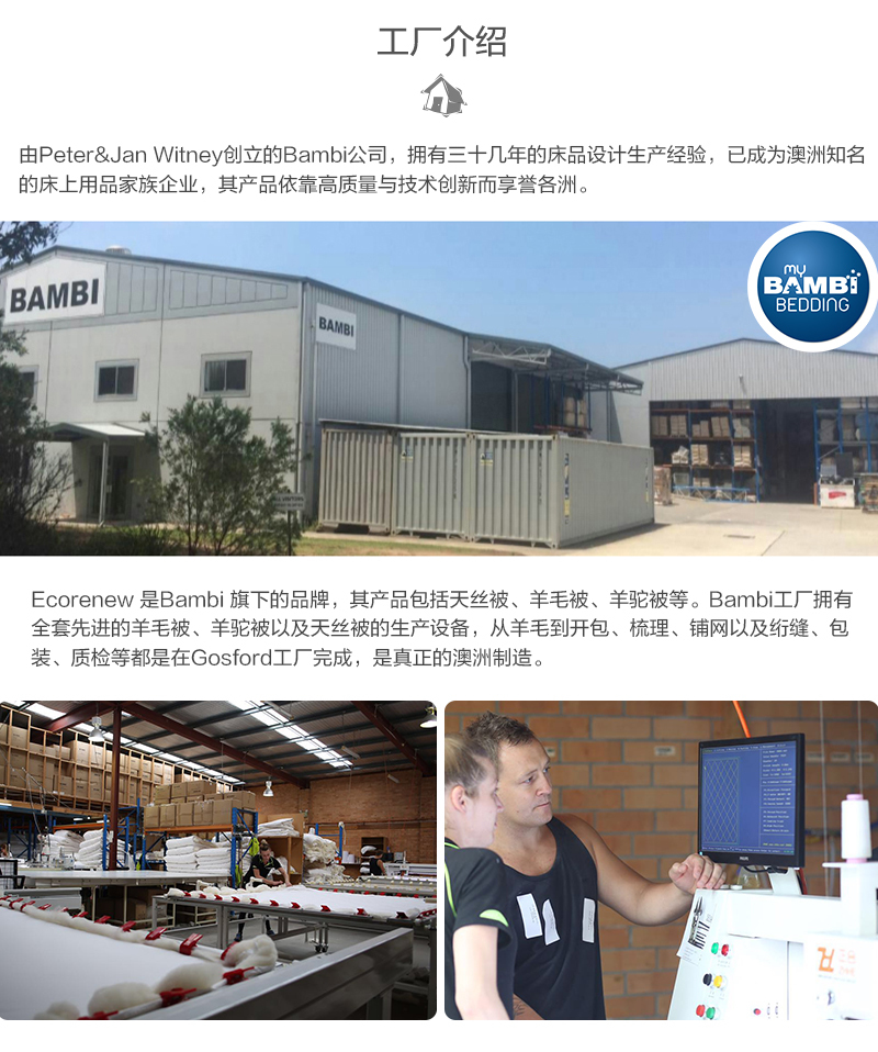 澳大利亚原产Ecorenew保暖羊毛被羊毛被子被芯 白色 245x210cm