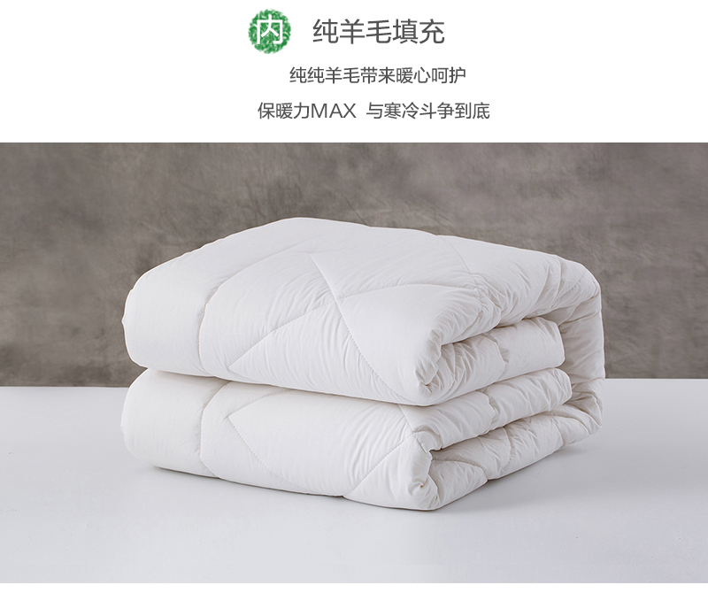 澳大利亚原产Ecorenew保暖羊毛被羊毛被子被芯 白色 245x210cm