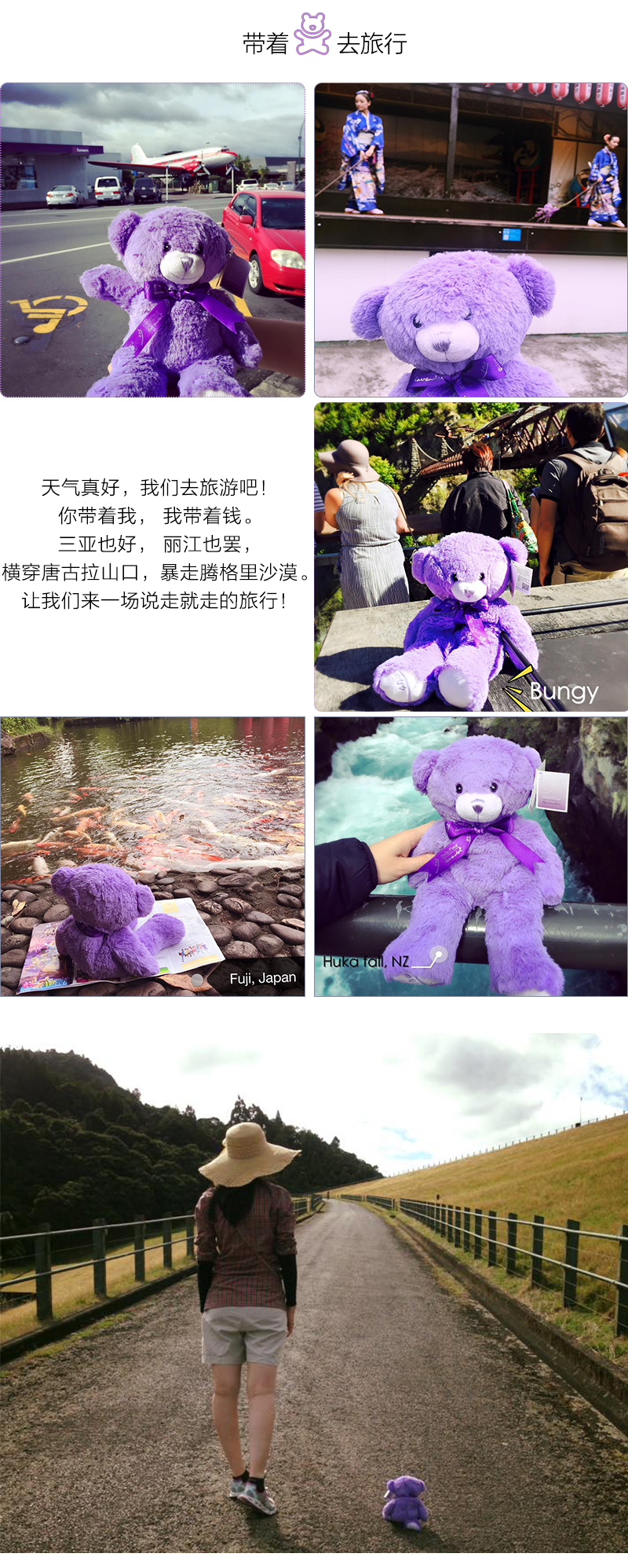 澳大利亚原产Belle Fleur Lavender可加热薰衣草小熊 紫色