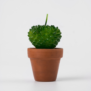 意大利原产Cereria Introna手工创意香薰蜡烛 仙人球盆栽