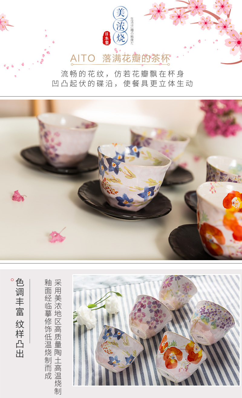 日本原产AITO抚松庵系列美浓烧陶瓷茶杯托茶具5件套 彩色