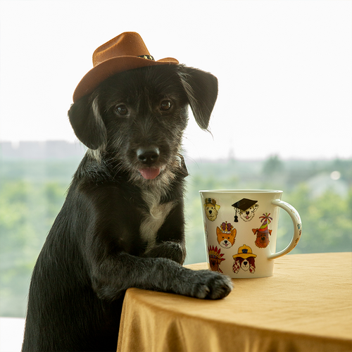 英国丹侬Dunoon骨瓷水杯Cairngorm杯型 疯帽客系列 狗