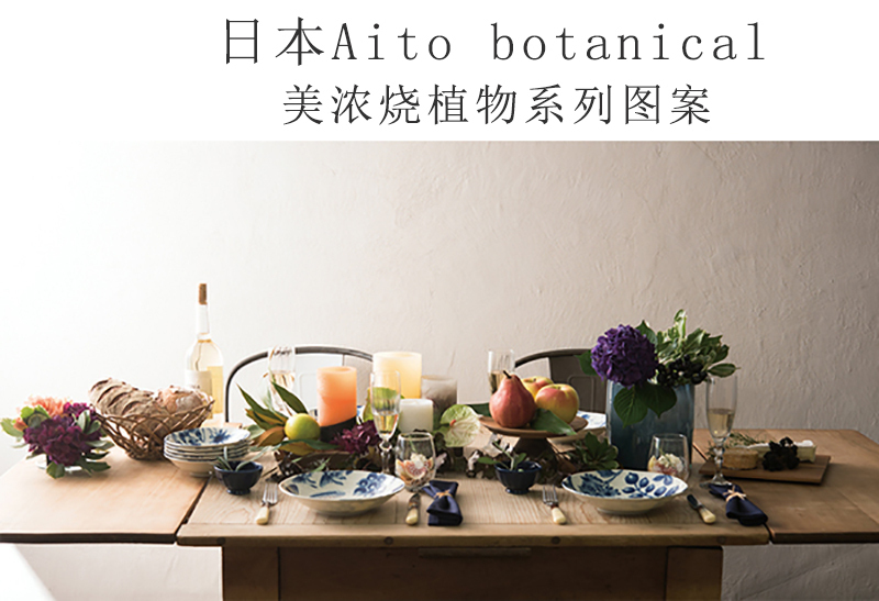 日本原产AITO Botanical美浓烧陶瓷餐盘早午晚餐盘5件套 蓝白