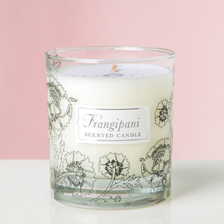 英国原产Illumens赤素馨花香味玻璃罐装香薰蜡烛家居香薰